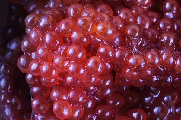 Ungekochter Roter Kaviar Hintergrund — Stockfoto