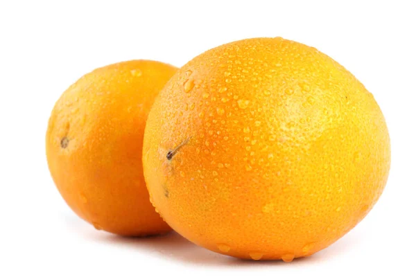 흰색으로 오렌지 — 스톡 사진