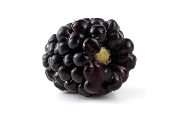 Blackberry White Background — Stock Photo, Image