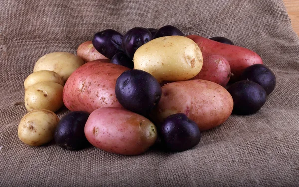 Fechar Colheita Batatas — Fotografia de Stock