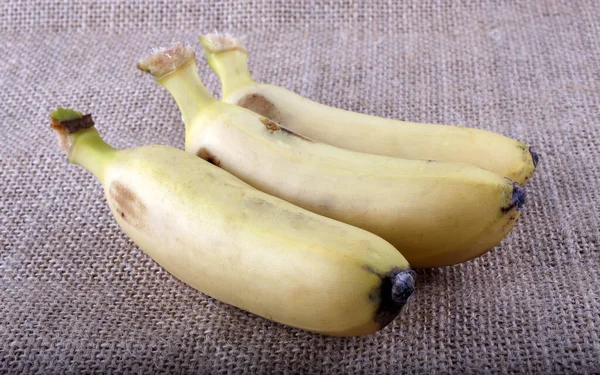 Close Frutas Banana Tropicais — Fotografia de Stock