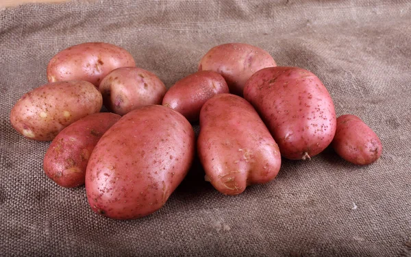 Fechar Colheita Batatas — Fotografia de Stock