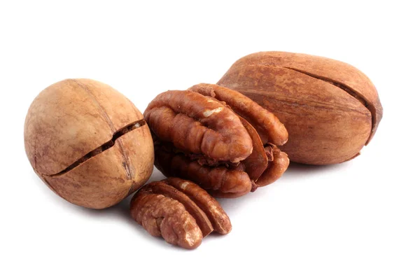 Pecan Aislado Blanco — Foto de Stock