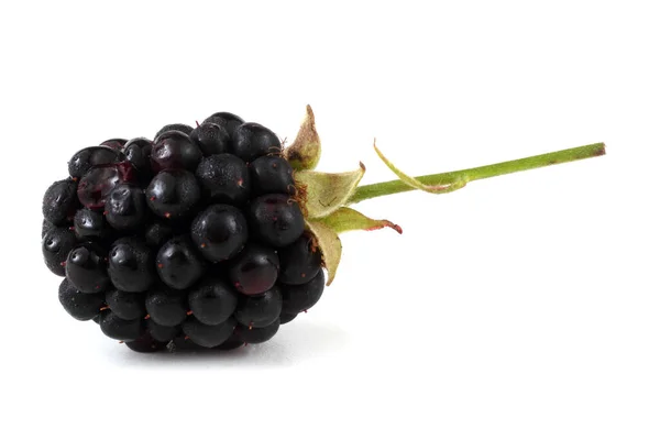 Blackberry White Background — Stock Photo, Image