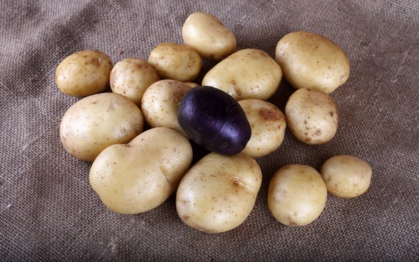 Batatas Brancas Violetas Ensacamento — Fotografia de Stock