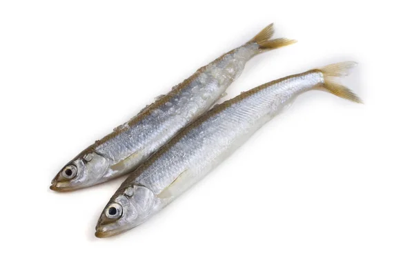 Pescado Olfateado Asiático Aislado Blanco — Foto de Stock