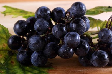 Masada siyah şarap üzümü
