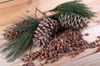 Sedir çam fıstığı masada.