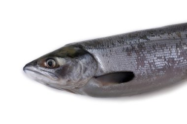 Char beyaz üzerine izole