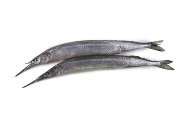 Garfish beyazda izole edilmiş.