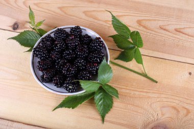 Taze böğürtlen hasadını kapat