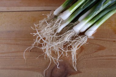 Masada soğan yeşili