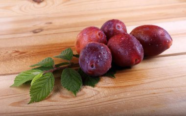 Olgun taze erikler. görünümü kapat
