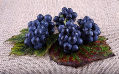 Poşetleme üstüne üzüm. Şarap çeşidi.