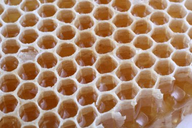 taze ve lezzetli bal peteği