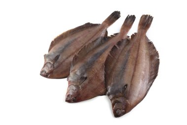 Düz başlı taban (Hipoglossoides elassodon) beyaz üzerinde izole