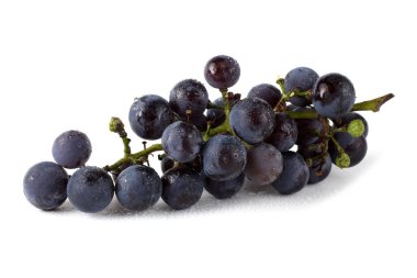 Beyaz şarap izole edilmiş.