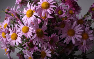 İnanılmaz çiçeklere yakın.