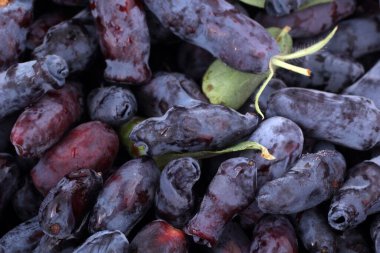 Böğürtlen arkaplanı. Uzak Doğu lezzeti