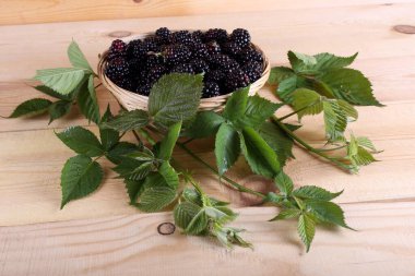 Taze böğürtlen hasadını kapat