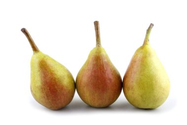 Taze olgun armutlara yakın.