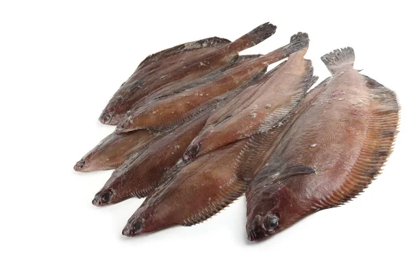 Flathead Sole Hippoglossoides Elassodon Isolato Bianco — Foto Stock