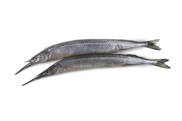 Garfish Aislado Blanco —  Fotos de Stock