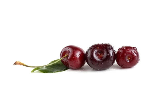 Cerises Isolées Sur Fond Blanc — Photo