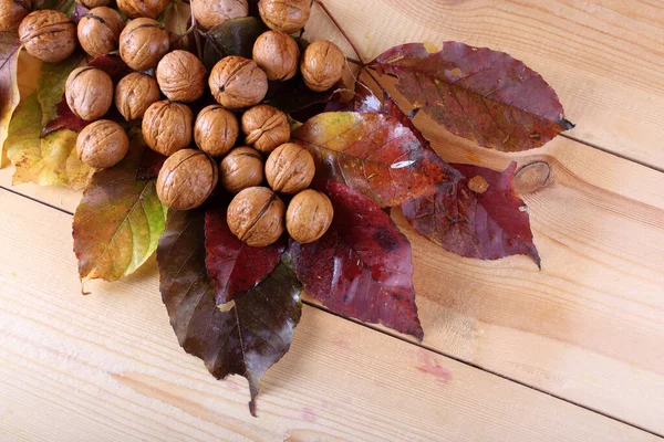 テーブルの上のクルミと紅葉 — ストック写真