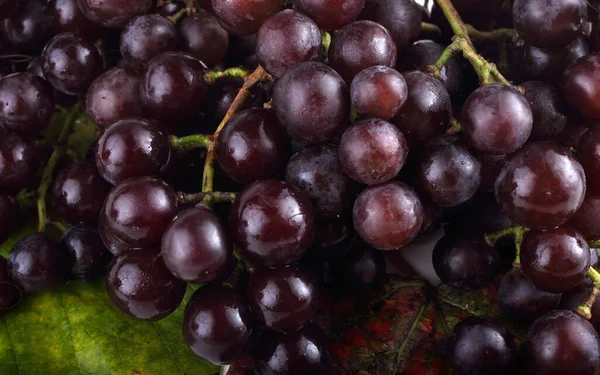 Bouquet Raisins Frais Sur Les Feuilles Automne Isolé Sur Blanc — Photo