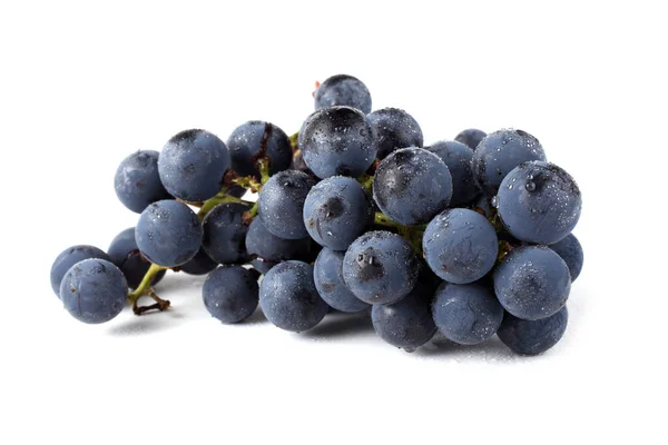 Wine Grape Isolated White — Stock Photo, Image
