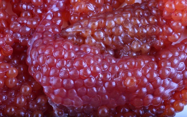 Fundo Caviar Salmão Vermelho — Fotografia de Stock