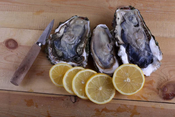 Ostras Rodajas Limón Mesa — Foto de Stock