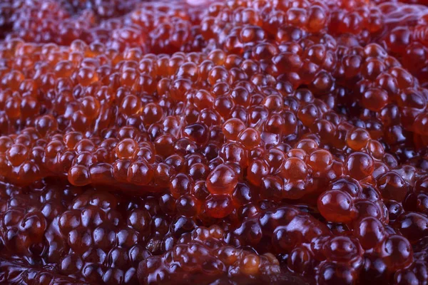 Uncooked Red Caviar Background — Stock Photo, Image