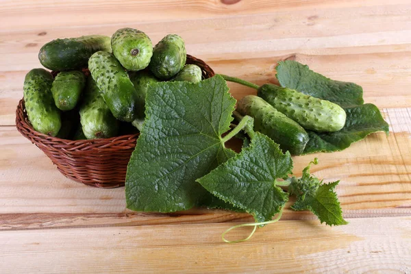 Gurken Auf Dem Tisch Landhausstil — Stockfoto