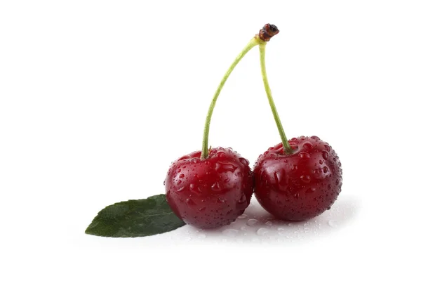 Cerises Isolées Sur Fond Blanc — Photo