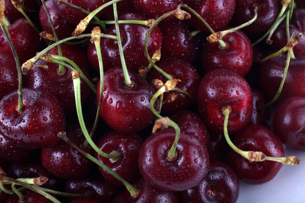 Cerezas Aisladas Sobre Fondo Blanco — Foto de Stock