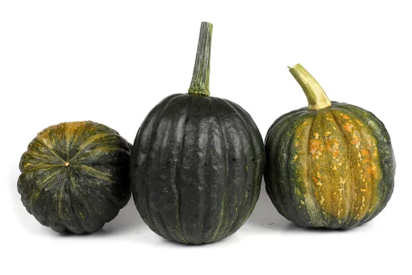 Zucca Isolata Sfondo Bianco — Foto Stock