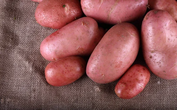 Patates hasadına yakın.