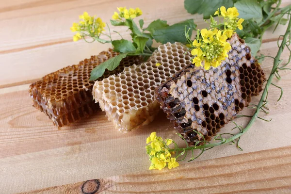 Frische Und Köstliche Bienenwaben — Stockfoto