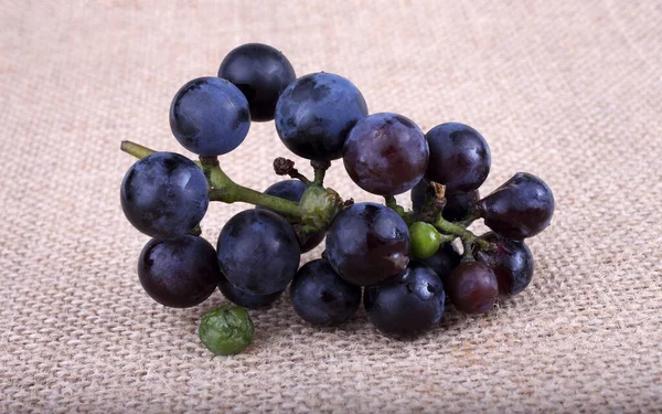 Grape Bagging Wine Grape Variety — Stock Photo, Image