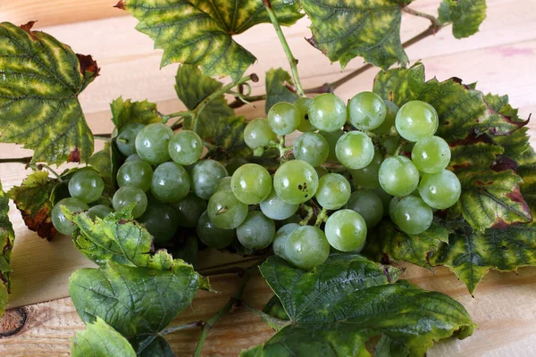 Uva Verde Sobre Mesa Esta Variedad Uva Para Vinos Blancos —  Fotos de Stock