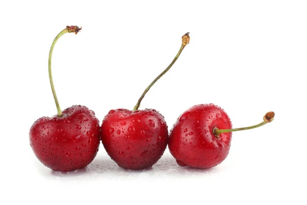 Cerezas Aisladas Sobre Fondo Blanco — Foto de Stock