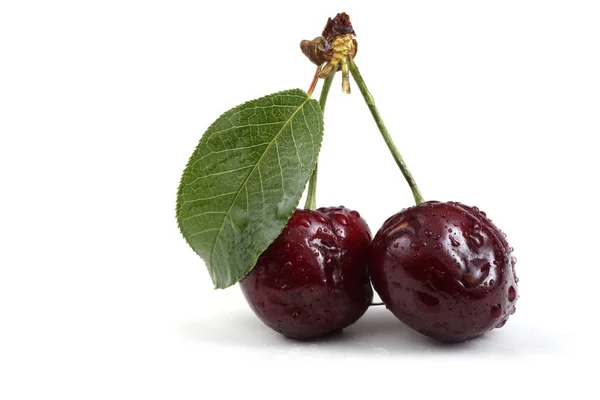 Cerises Isolées Sur Fond Blanc — Photo