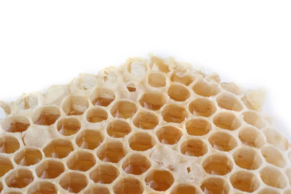 Frische Und Köstliche Bienenwaben — Stockfoto