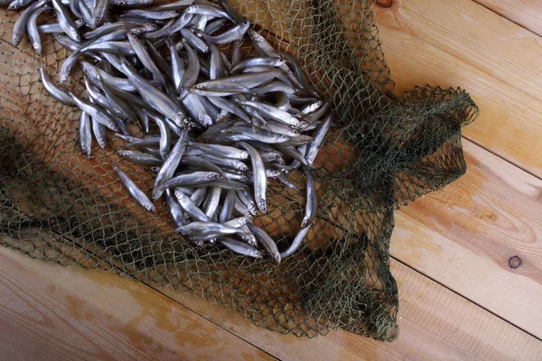 Gerookte Vis Het Net Pacifische Smelt — Stockfoto