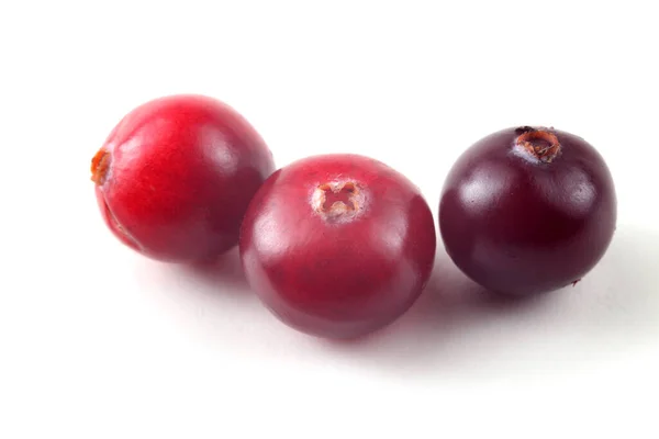 Κοντινό Πλάνο Φρέσκων Ξινών Cranberries — Φωτογραφία Αρχείου