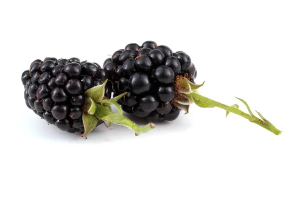 Blackberries White Background — Stock Photo, Image