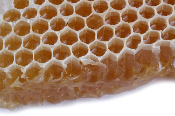 Fresh Delicious Honeycomb Royalty Free Stock Photos