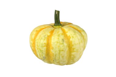 Beyaz bir arkaplanda kabak izole